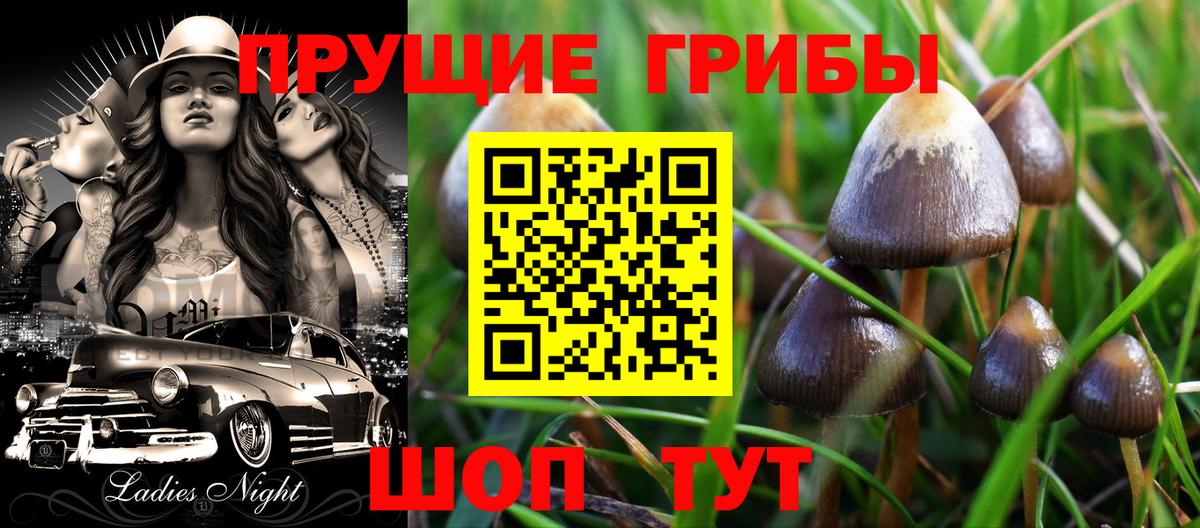 Псилоцибиновые грибы ЛСД  Вход с VPN  Городец 