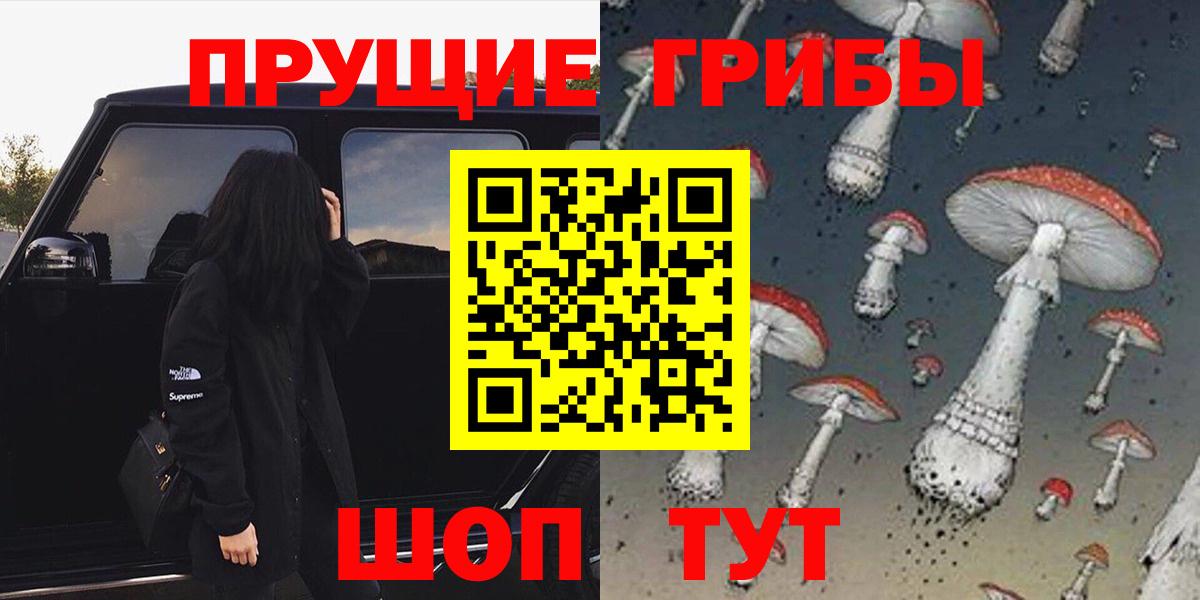 Галлюциногенные грибы Psilocybine cubensis Городец